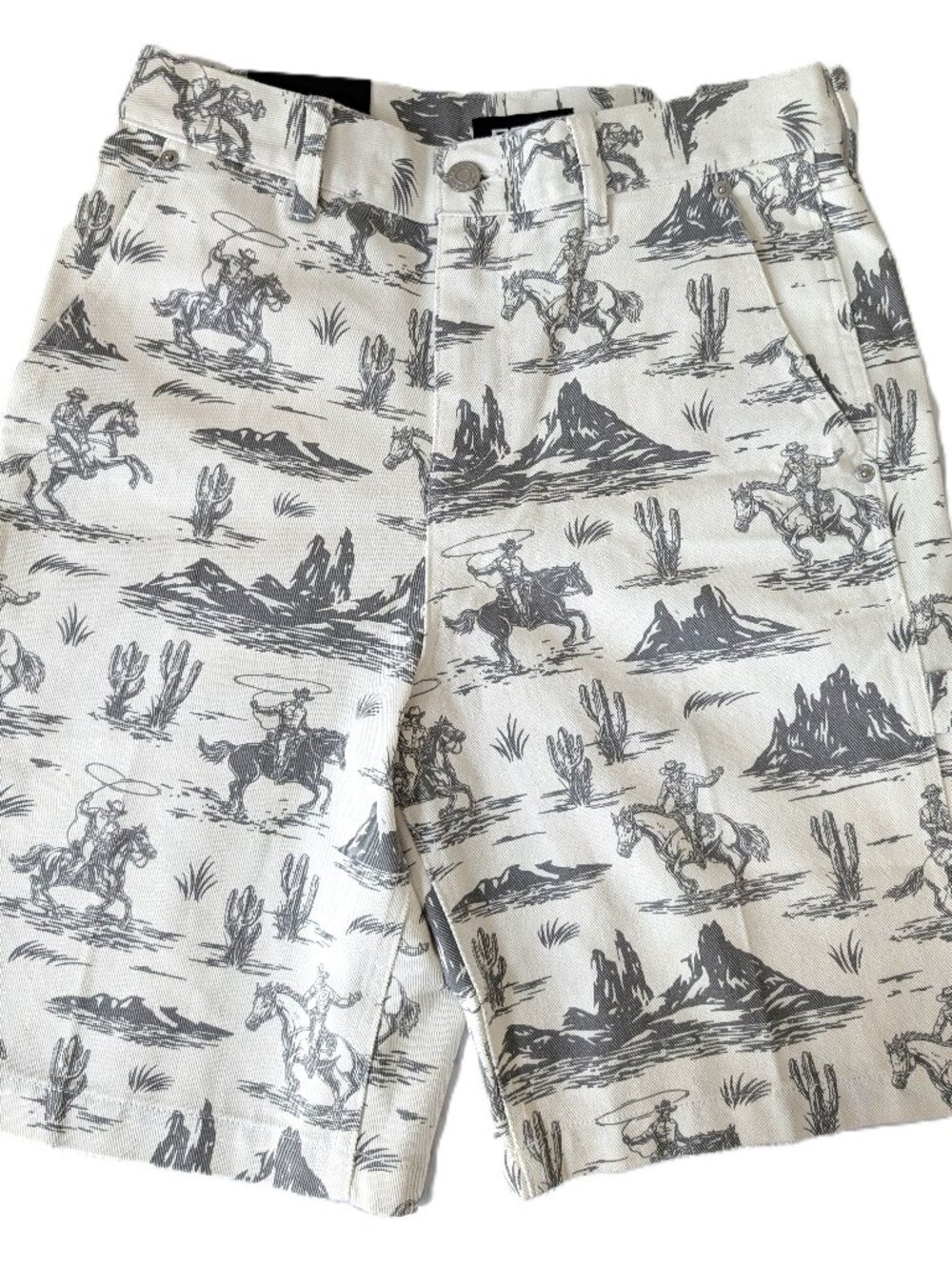 RSQ Men’s 28 Loose Carpenter Shorts Cowboy Western Print NWT Cotton